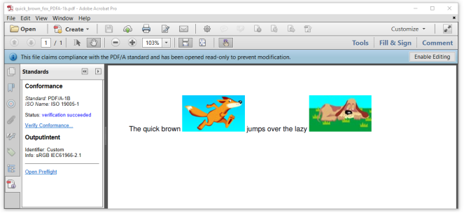 PDF/A Standard Compliance